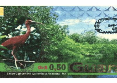 QUILOMBOLA (Guará - 0,50) (1)