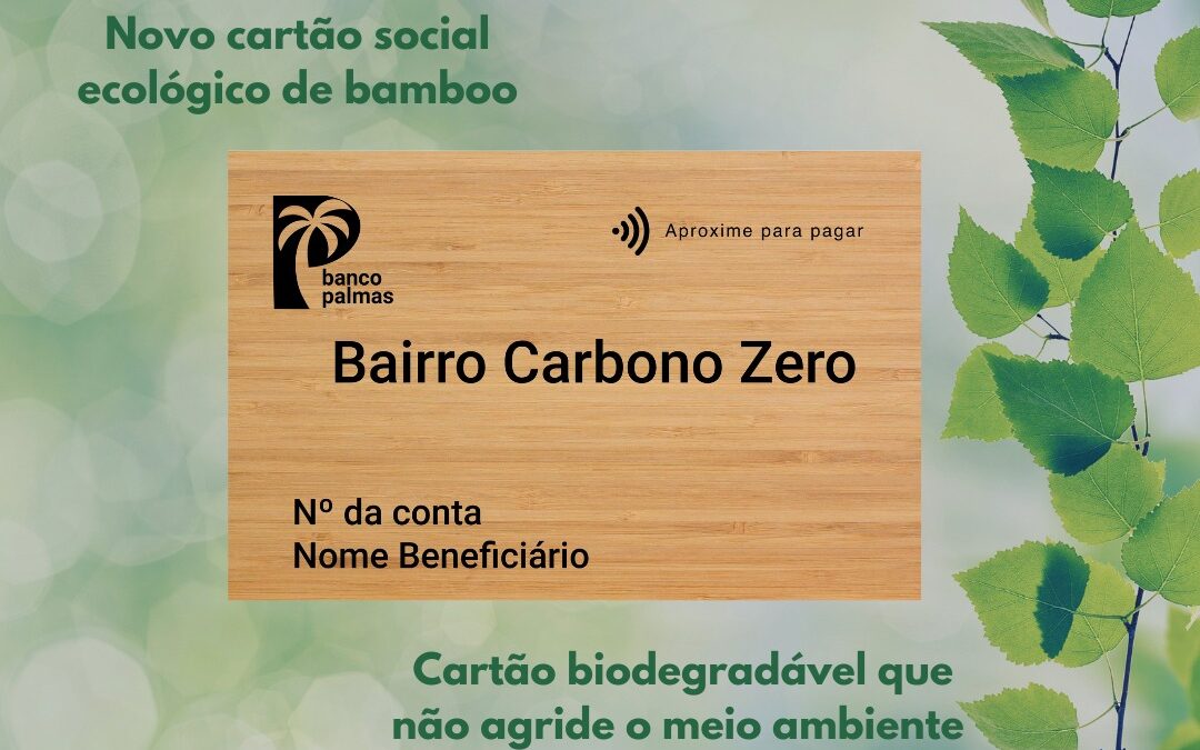 Novos Cartões de Bambu 🌿