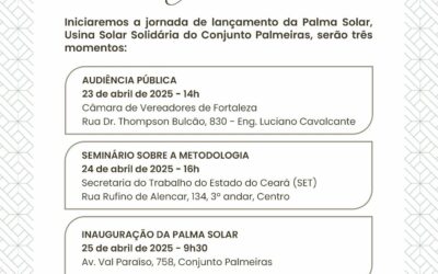 Vem aí o lançamento da PalmaSolar! ☀️